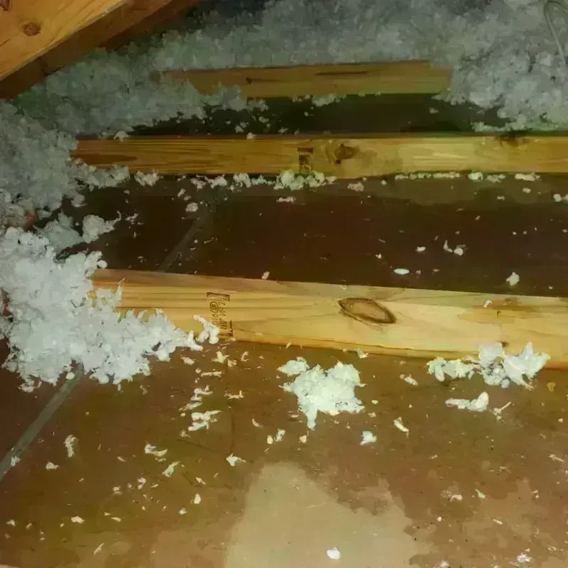 Attic Water Damage in Bison, SD