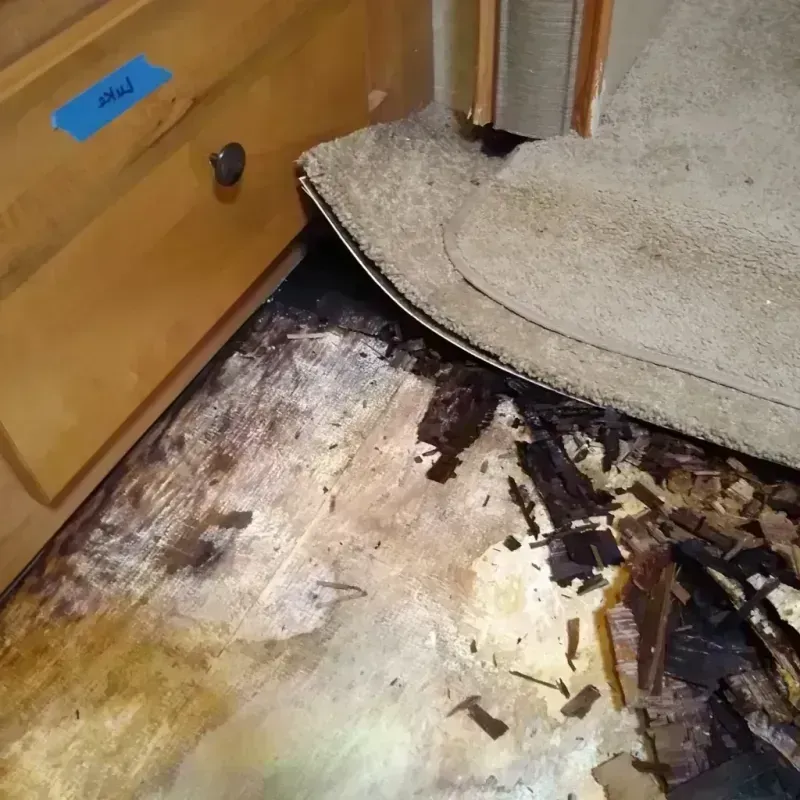 Best Wood Floor Water Damage Service in Bison, SD